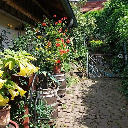 Beim Schlafwandler Apartment *